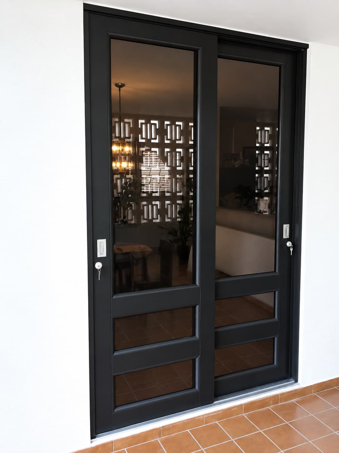 Puerta Doble Negra con Cristal Oscuro