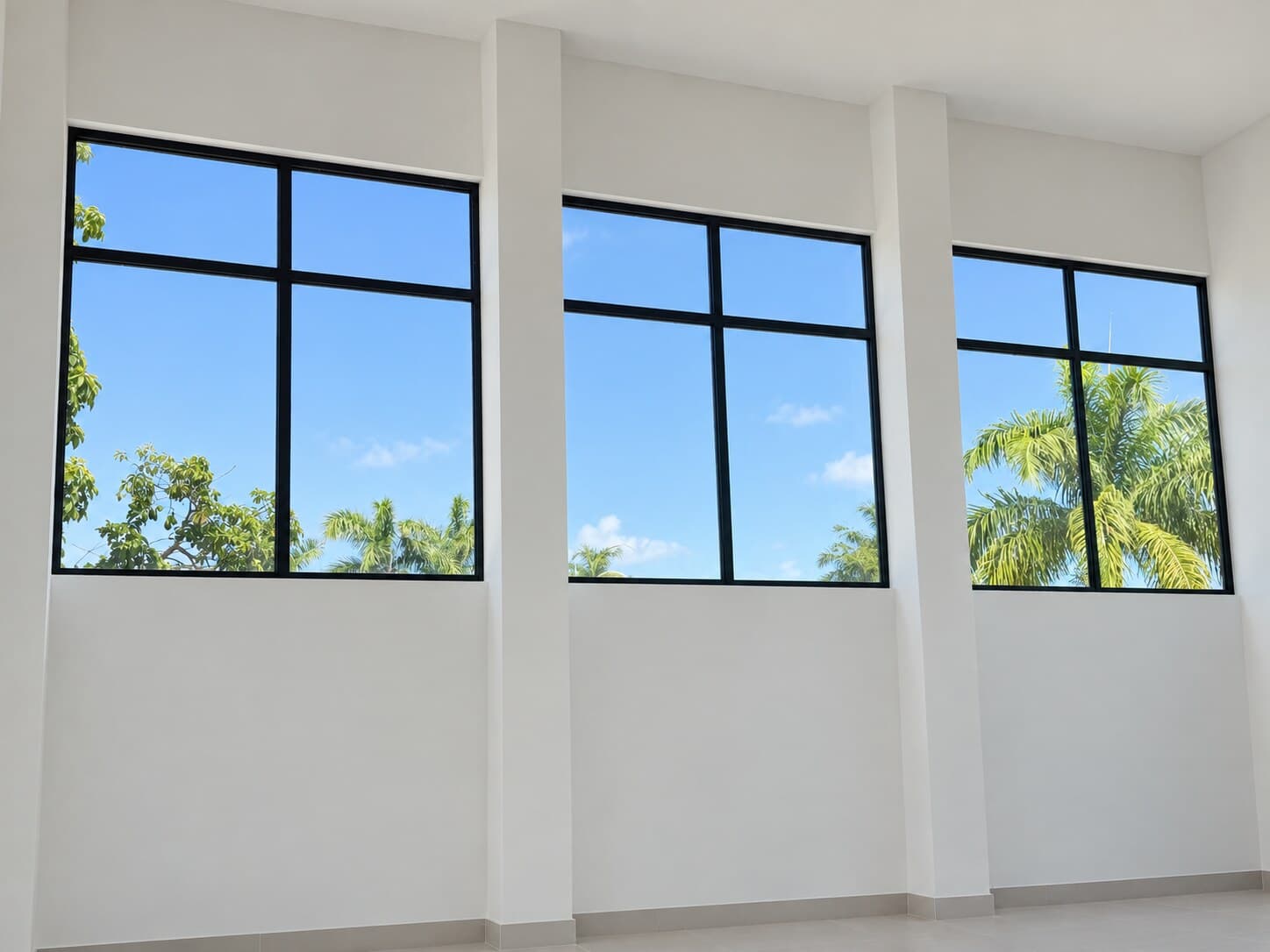 Ventanas Fijas Negras de Cristal Claro
